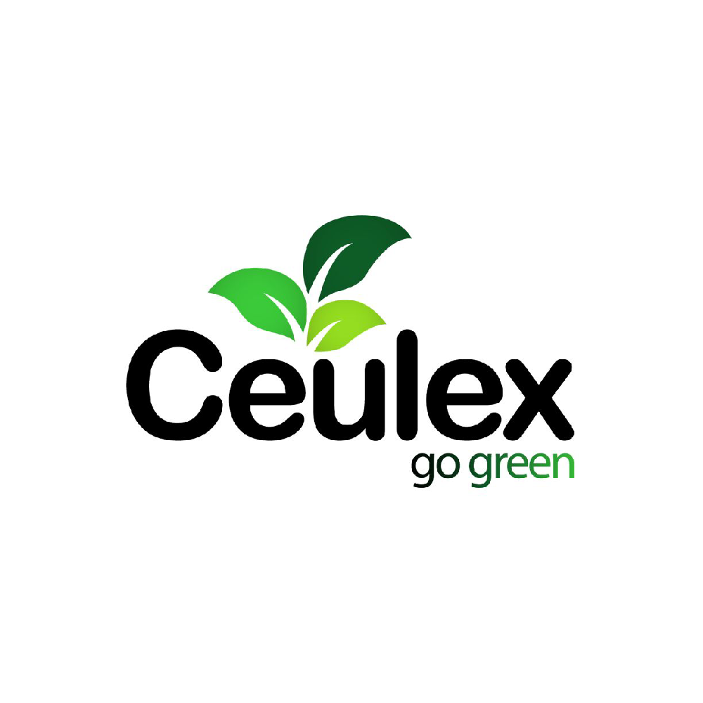 Logo Designs Gallery Visual 7